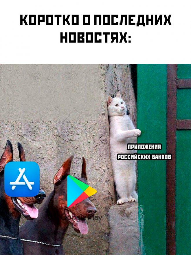 прикольные мемы