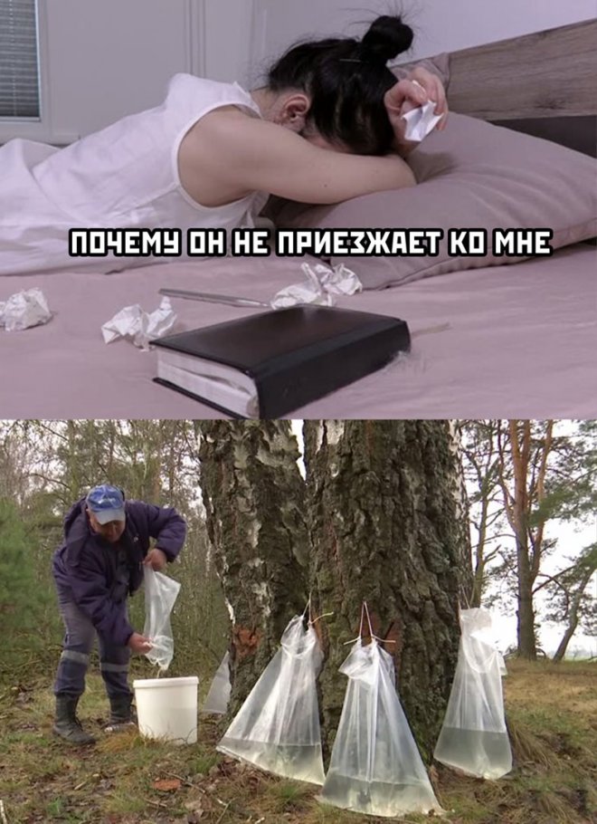 прикольные мемы