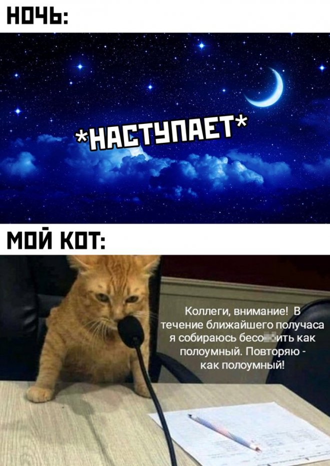 прикольные мемы