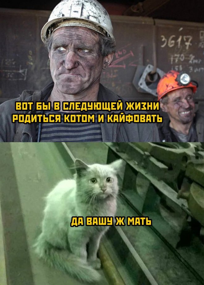 прикольные мемы