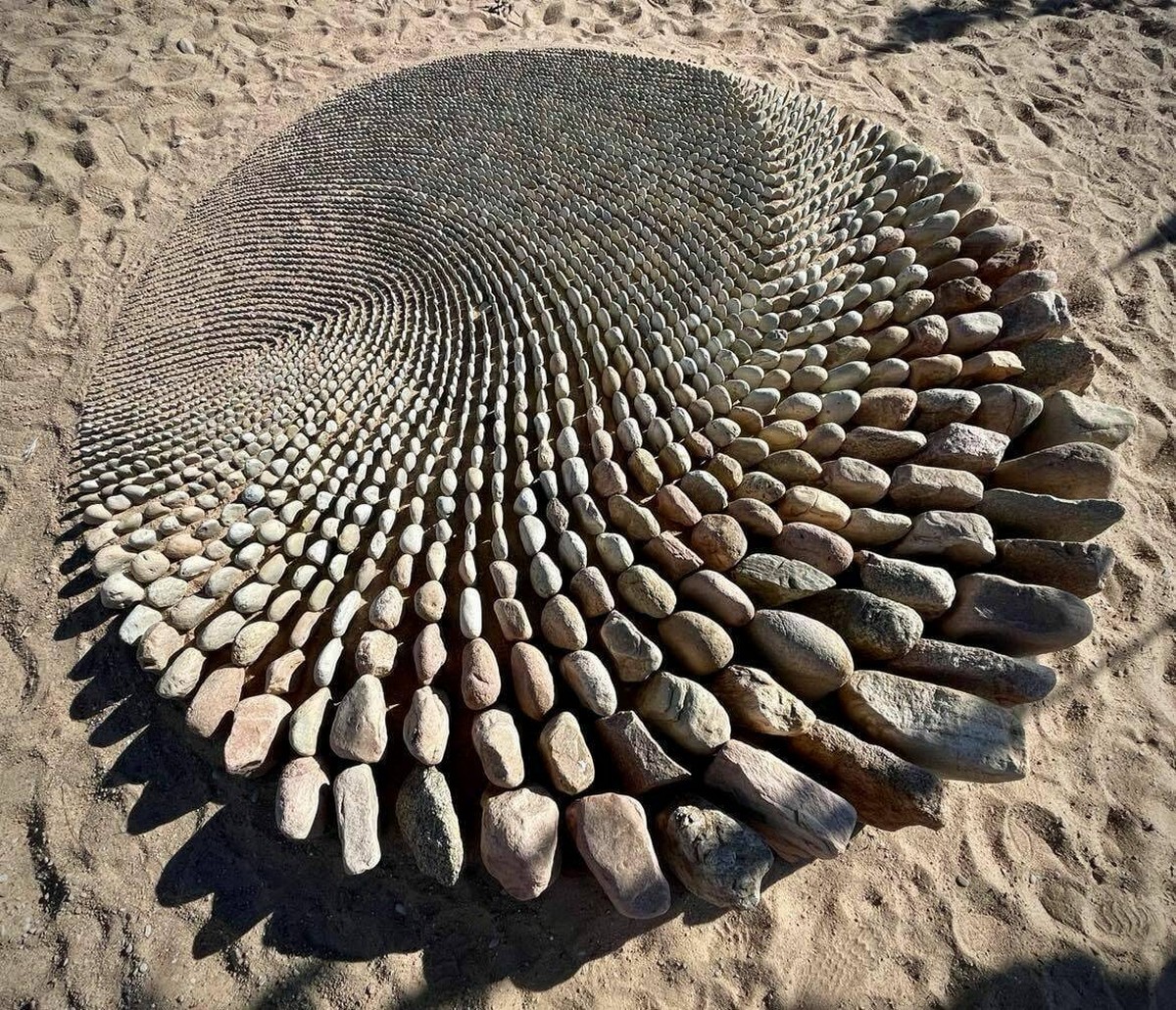 прикольные картинки на досуга нет