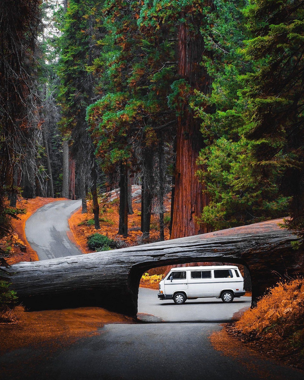 прикольные картинки на досуга нет