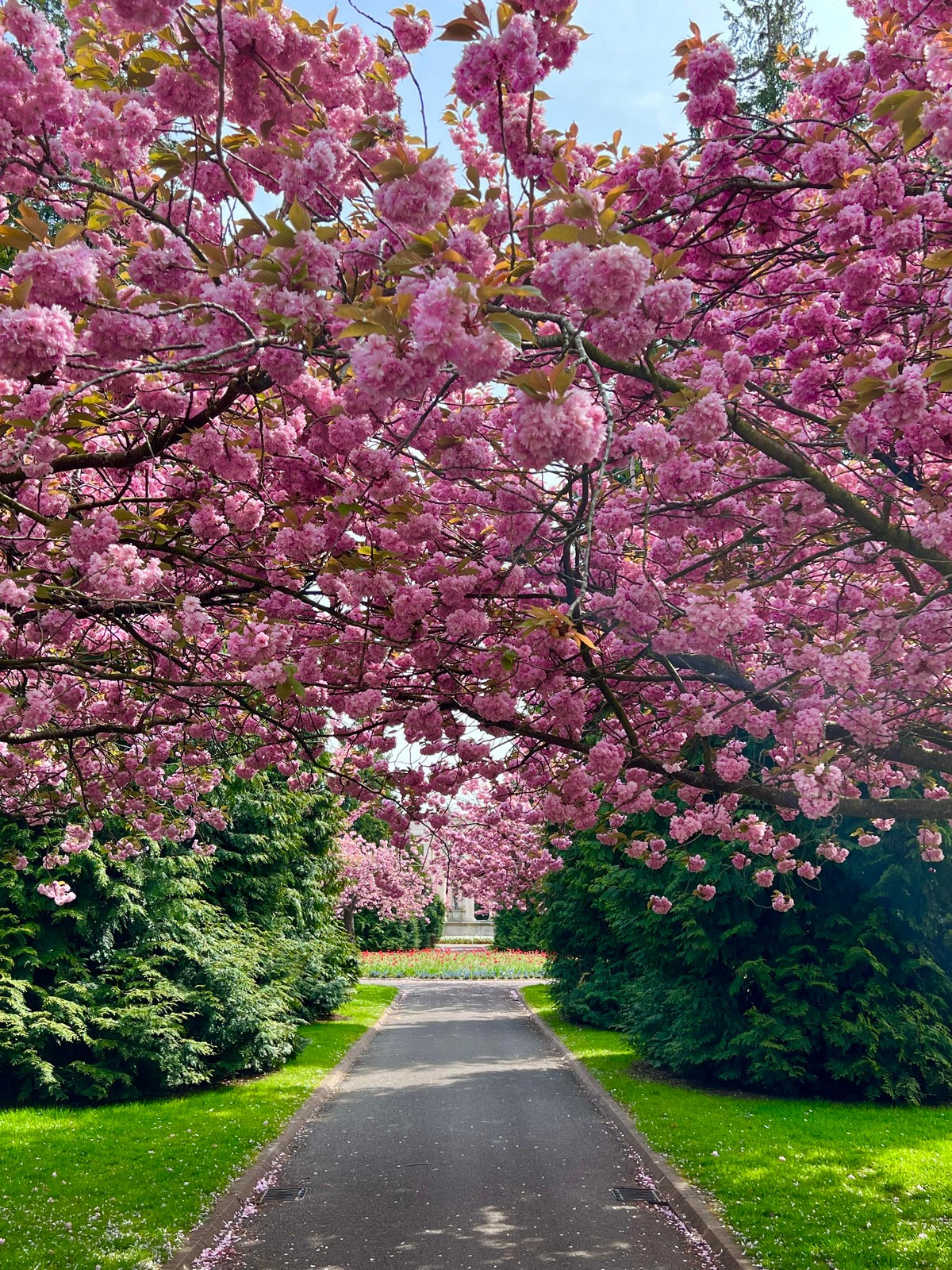 прикольные картинки на досуга нет