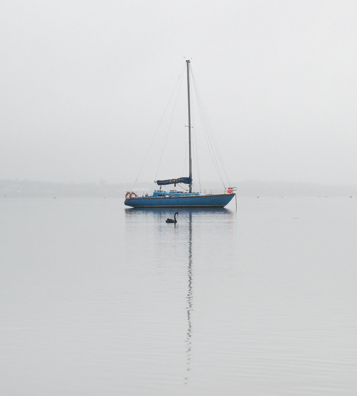 прикольные картинки на досуга нет