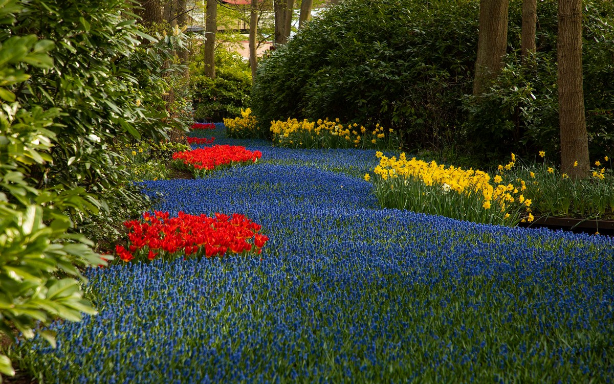 прикольные картинки на досуга нет