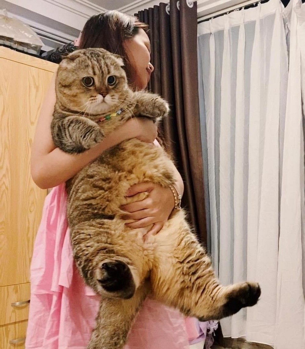 прикольные картинки на досуга нет