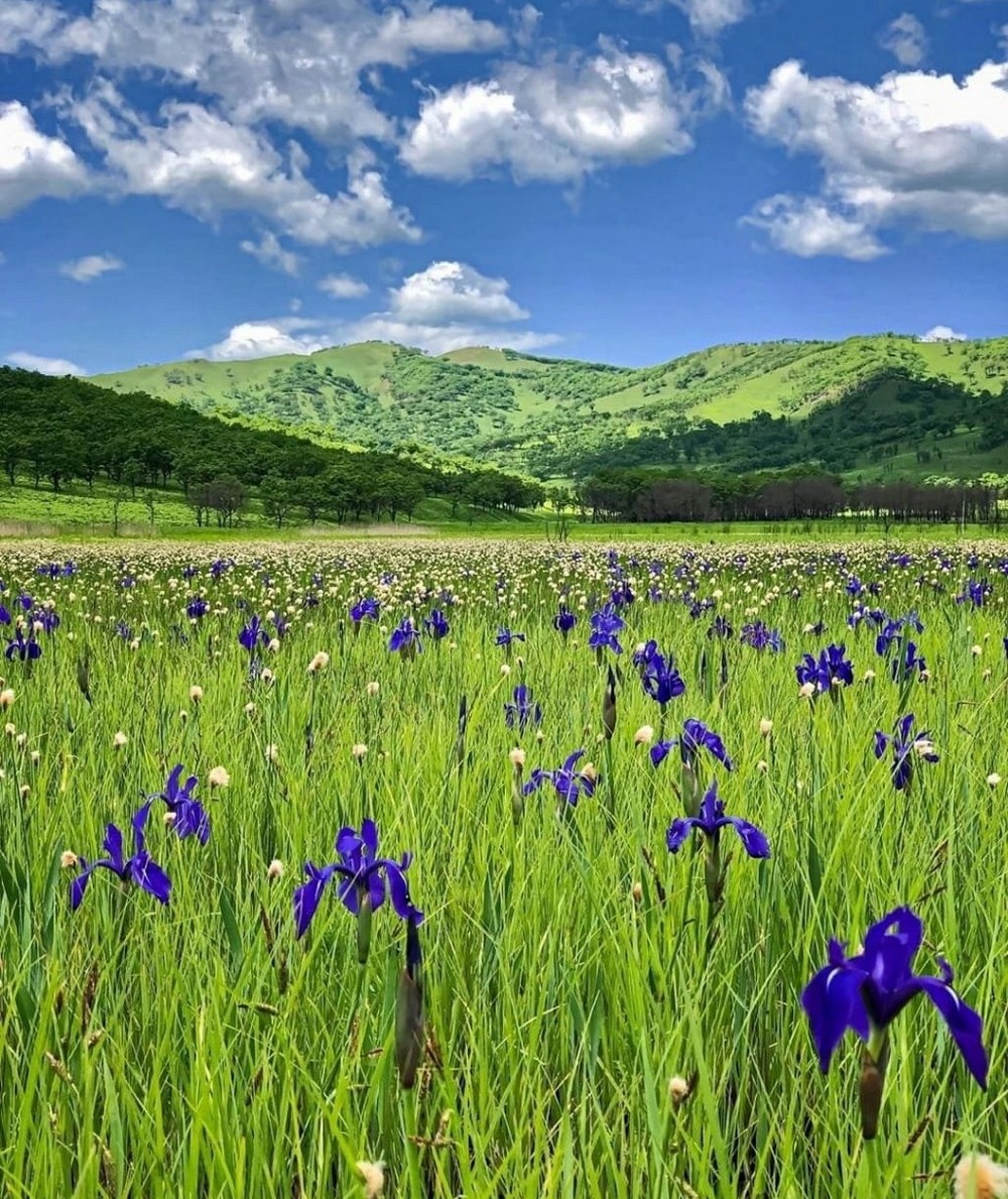 прикольные картинки на досуга нет