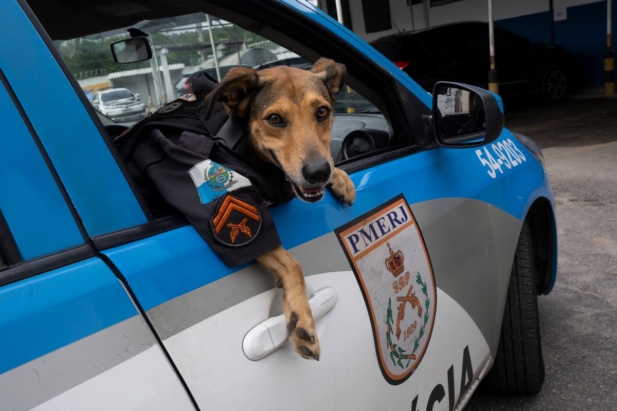 прикольные картинки на досуга нет