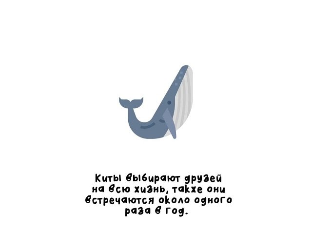 факты в картинках