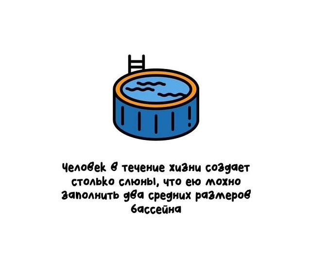 факты в картинках