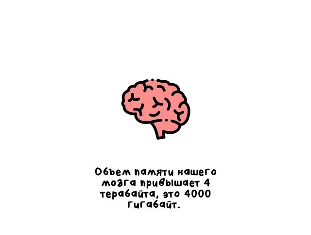 факты в картинках