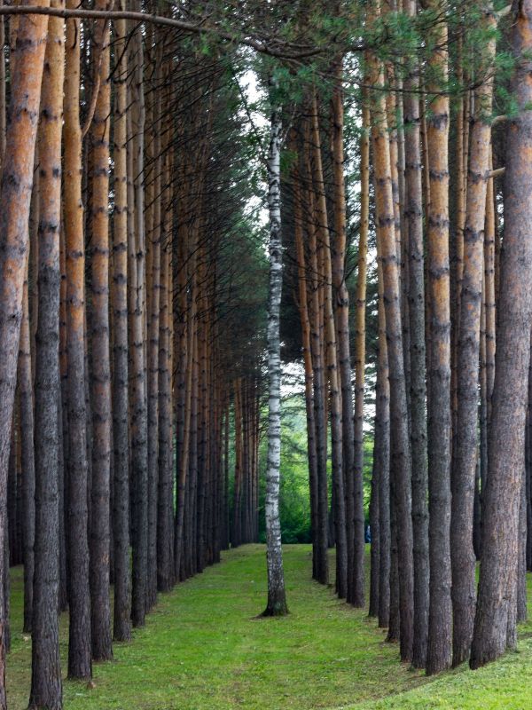 подборка картинок