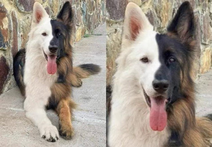 фото приколы мемы на досуга.нет