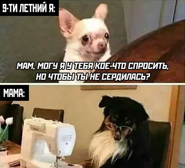 фото приколы мемы на досуга.нет