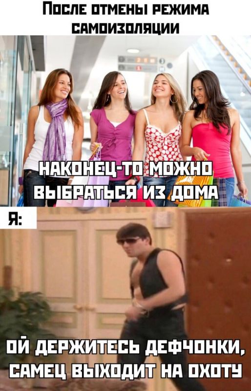 фото приколы мемы на досуга.нет