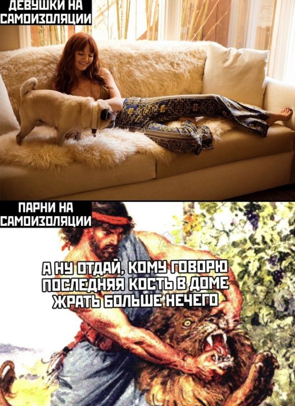 фото приколы мемы на досуга.нет