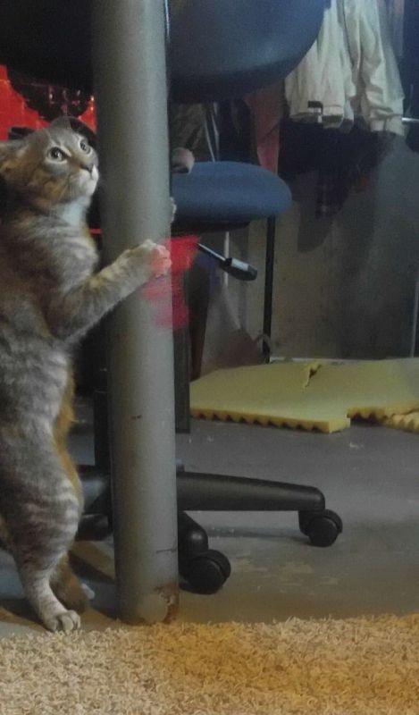 фото приколы мемы на досуга.нет