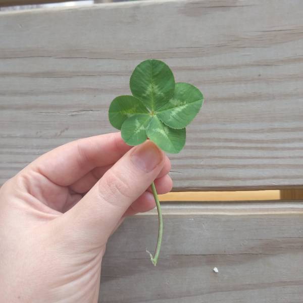 фото приколы мемы на досуга.нет