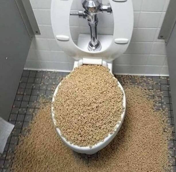 фото приколы мемы на досуга.нет