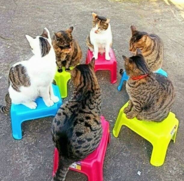 фото приколы мемы на досуга.нет