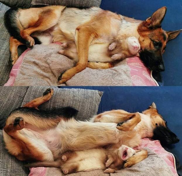 фото приколы мемы на досуга.нет