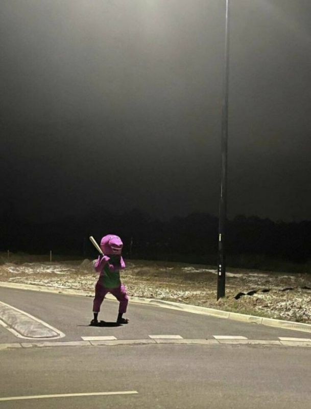 фото приколы мемы на досуга.нет