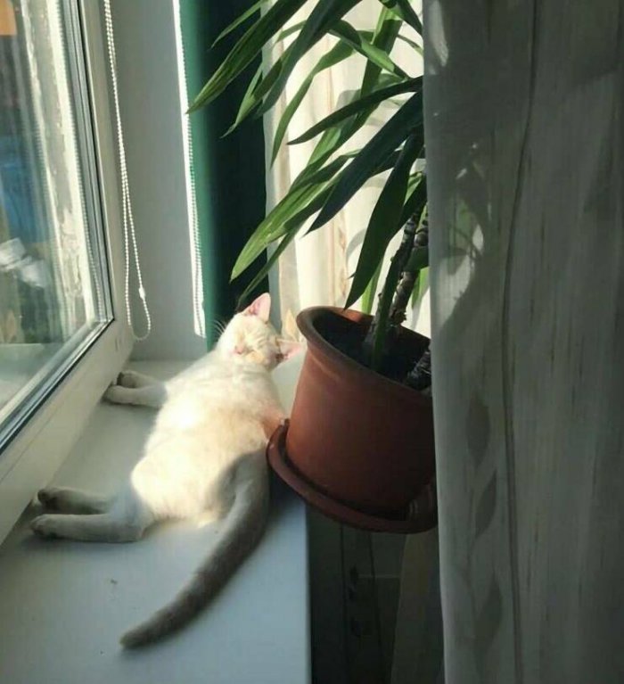 фото приколы мемы на досуга.нет