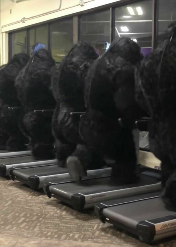 фото приколы мемы на досуга.нет