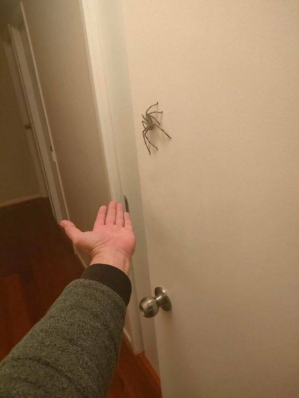 фото приколы мемы на досуга.нет