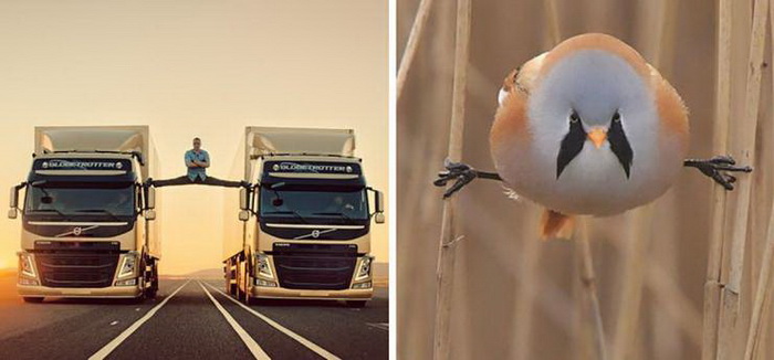 фото приколы мемы картинки на досуга.нет