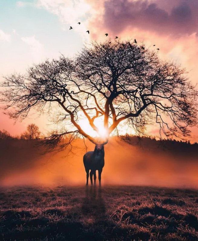 фото приколы мемы картинки на досуга.нет