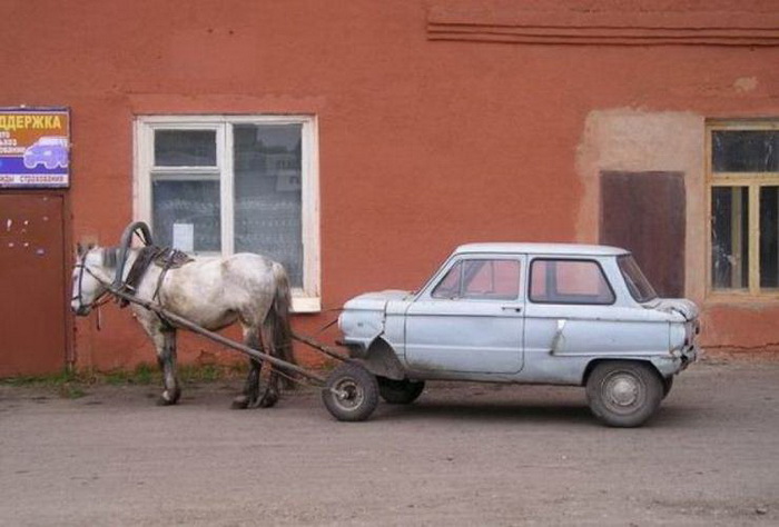 фото приколы мемы картинки на досуга.нет