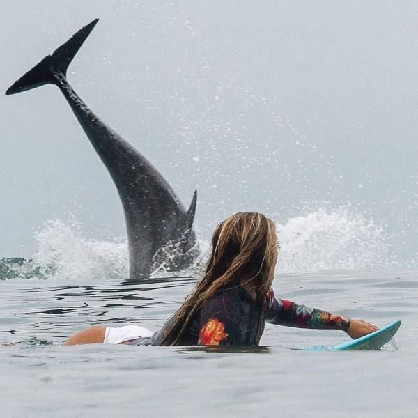 фото приколы мемы картинки на досуга.нет