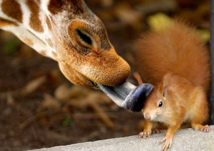 фото приколы мемы картинки на досуга.нет