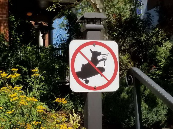 фото приколы мемы картинки на досуга.нет