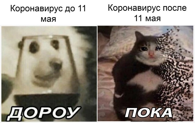 фото приколы мемы картинки на досуга.нет