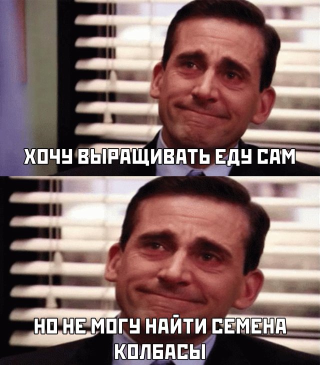 фото приколы мемы картинки на досуга.нет