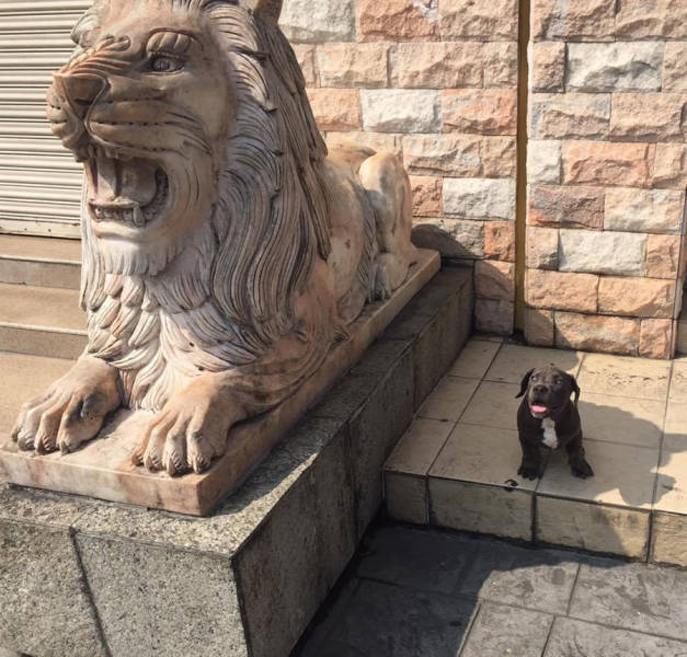 фото приколы мемы картинки на досуга.нет