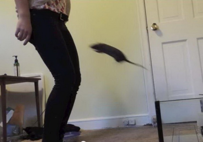 фото приколы мемы картинки на досуга.нет