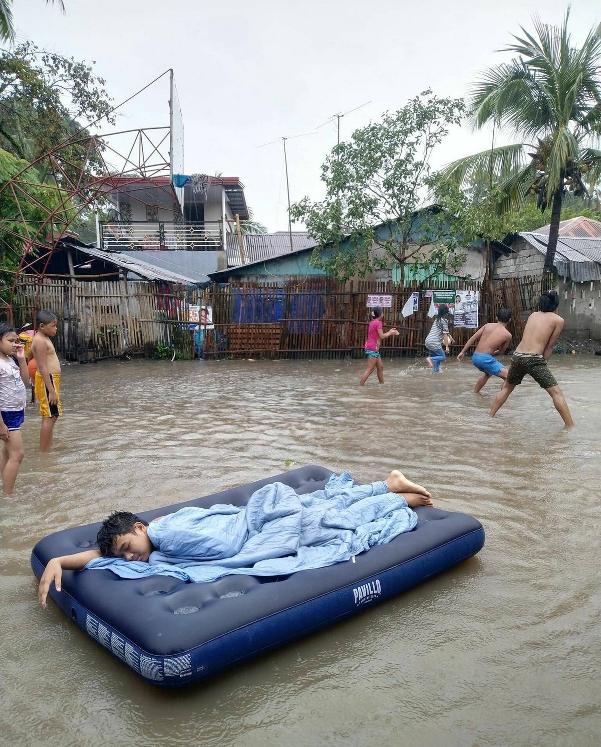 прикольные фото