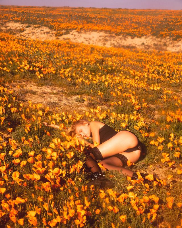 Естественная красота девушек на фото Майкла Донована