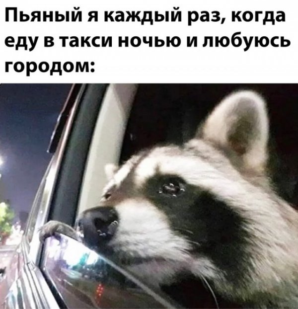 пошлый мем картинка с надписью