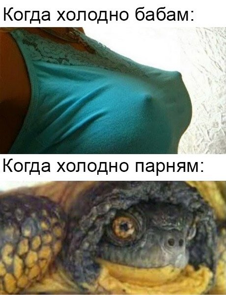 пошлый мем картинка с надписью