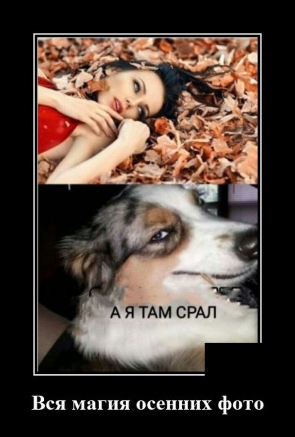 демотиваторы досуга.нет