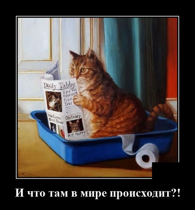 демотиваторы досуга.нет