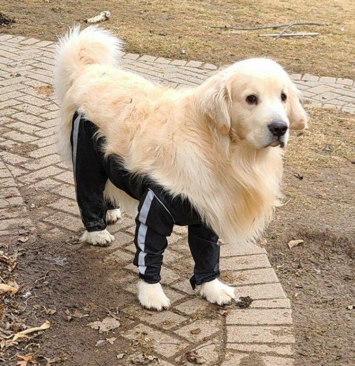 Фото приколы