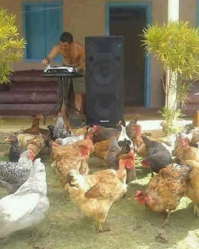 чудики из соцсети на dosuga.net