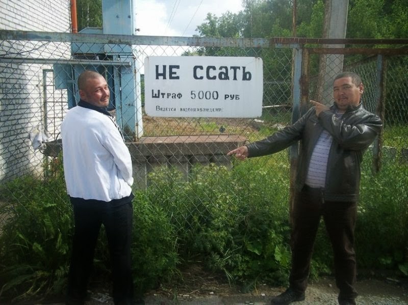 чудик инета