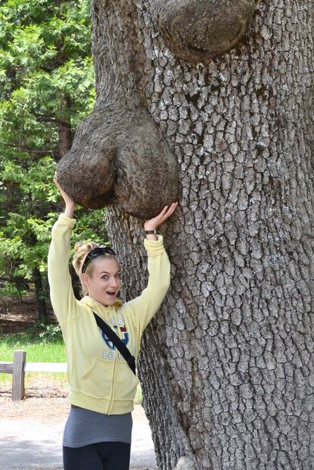 чудик инета