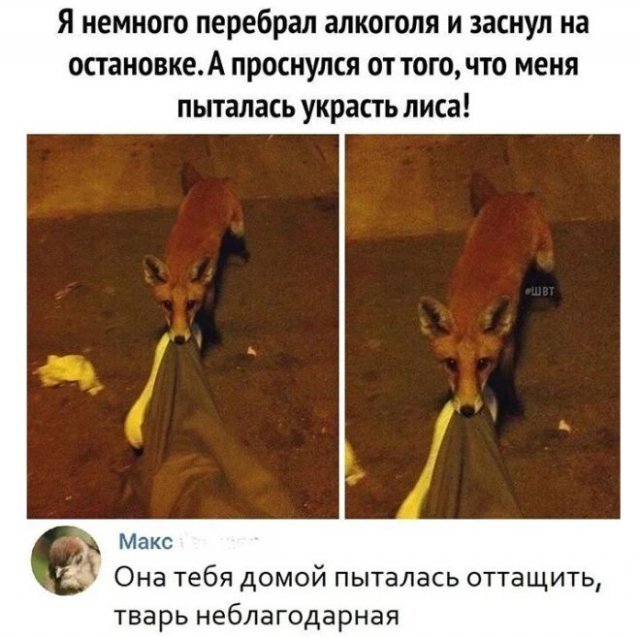 смешные мемы про алкоголь